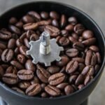 Coffee grinder hopper filled with whole beans, showing burr mechanism, illustrating flat vs conical burrs for home use