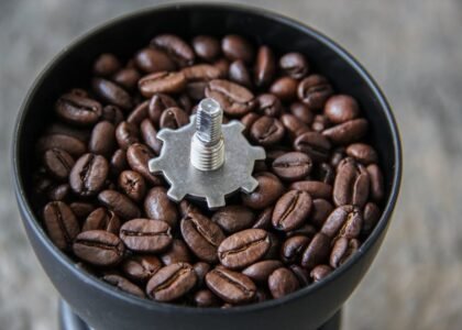 Coffee grinder hopper filled with whole beans, showing burr mechanism, illustrating flat vs conical burrs for home use