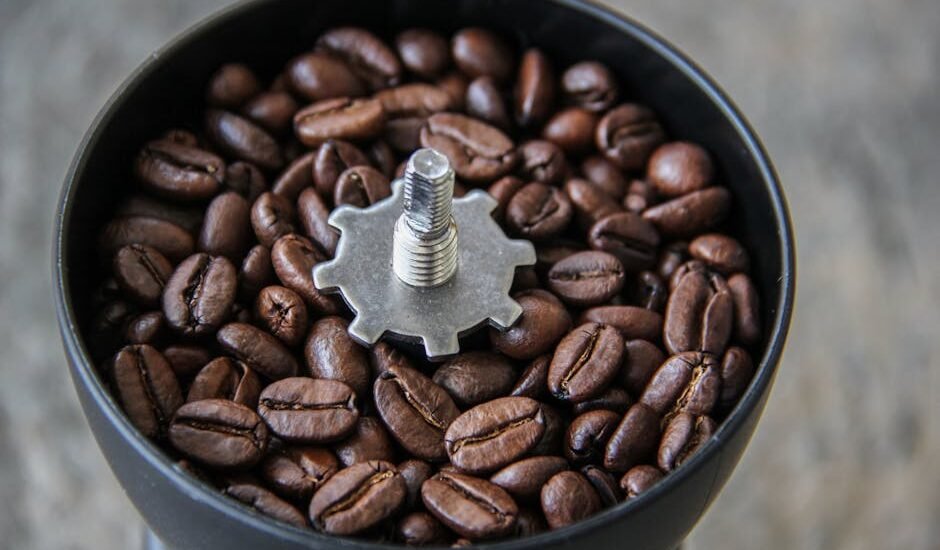 Coffee grinder hopper filled with whole beans, showing burr mechanism, illustrating flat vs conical burrs for home use