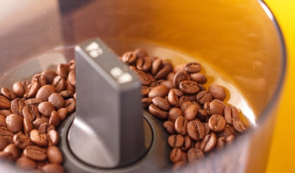 Whole coffee beans inside a new grinder hopper, illustrating the first step in seasoning a coffee grinder