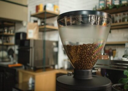 A single dose coffee grinder with a large transparent hopper filled with beans, illustrating grinder features for buyers