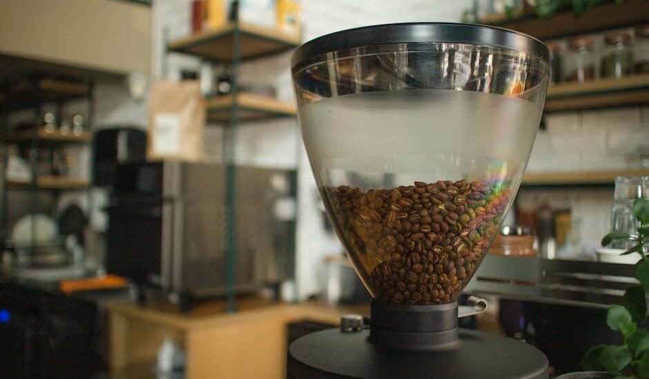 A single dose coffee grinder with a large transparent hopper filled with beans, illustrating grinder features for buyers