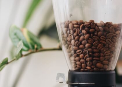 A clear hopper filled with roasted coffee beans, relevant to storage advice.