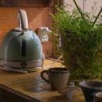 A kettle sits on a countertop next to a plant, illustrating descaling at home.