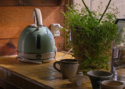 A kettle sits on a countertop next to a plant, illustrating descaling at home.