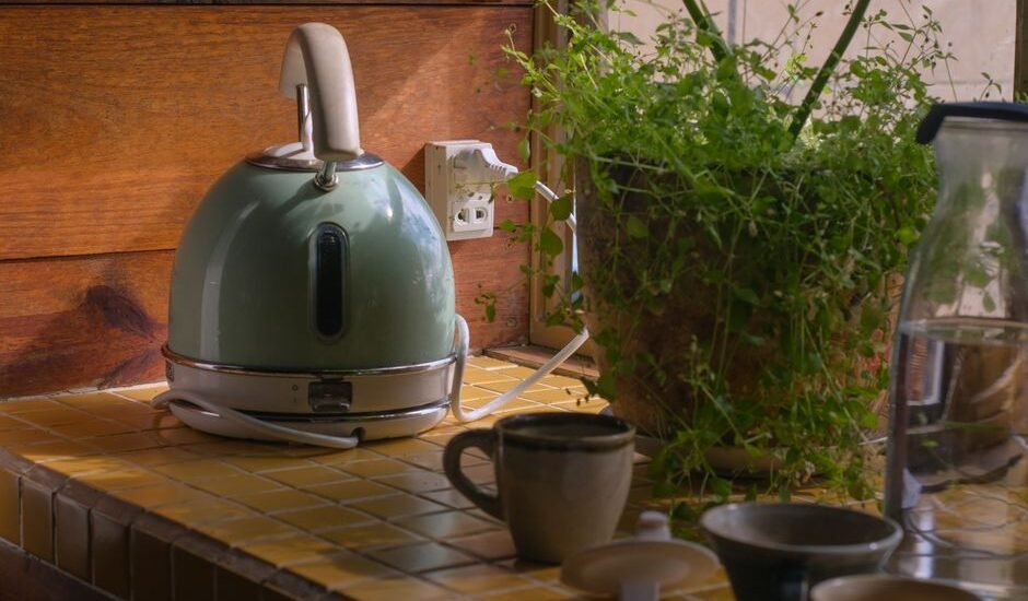 A kettle sits on a countertop next to a plant, illustrating descaling at home.